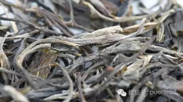 微定制】2016年勐库头春乔木晒青毛茶(长期有效)|广西优质茶叶交流组